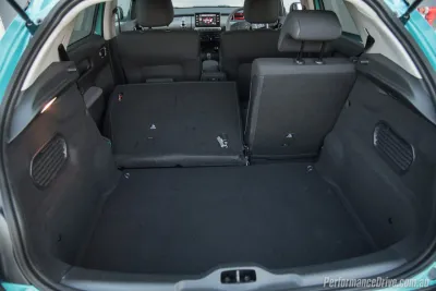 C4 Cactus